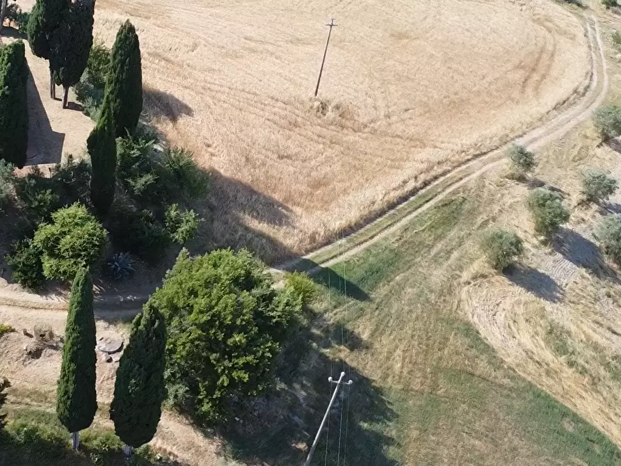 Immagine 9 di Azienda agricola in vendita  a Pomarance