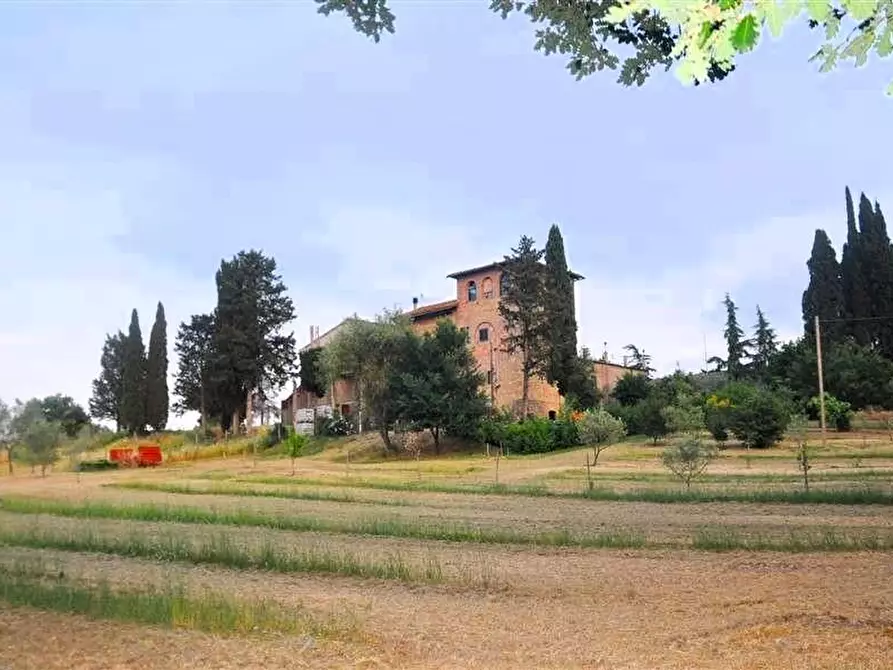 Immagine 4 di Azienda agricola in vendita  a Pomarance