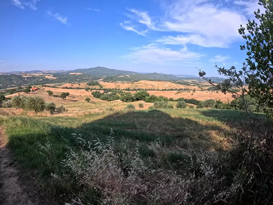 azienda agricola in vendita a Pomarance