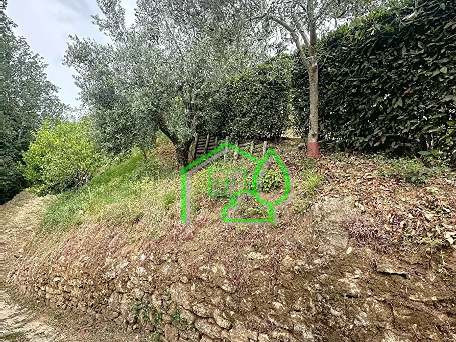 Immagine 28 di Rustico / casale in vendita  a Camaiore
