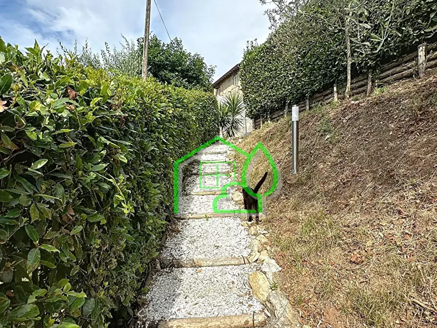 Immagine 2 di Rustico / casale in vendita  a Camaiore