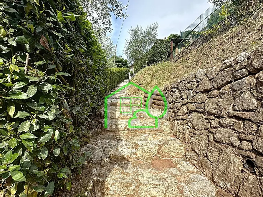 casa indipendente in vendita a Camaiore in zona Orbicciano