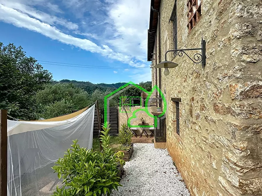 Immagine 5 di Rustico / casale in vendita  a Camaiore