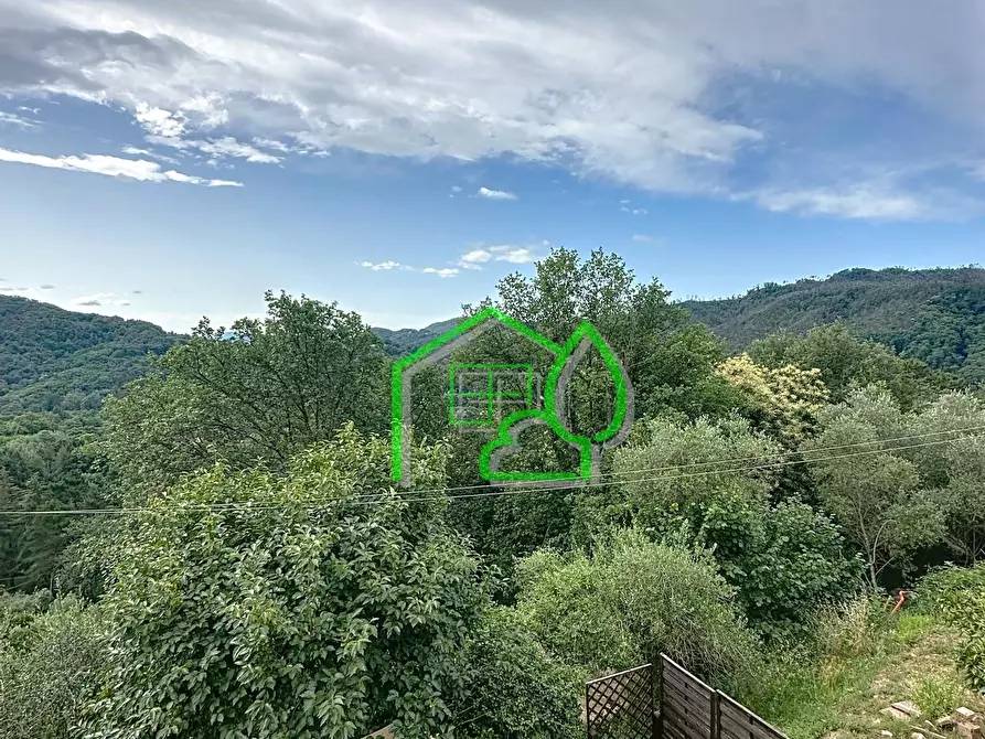 Immagine 24 di Rustico / casale in vendita  a Camaiore