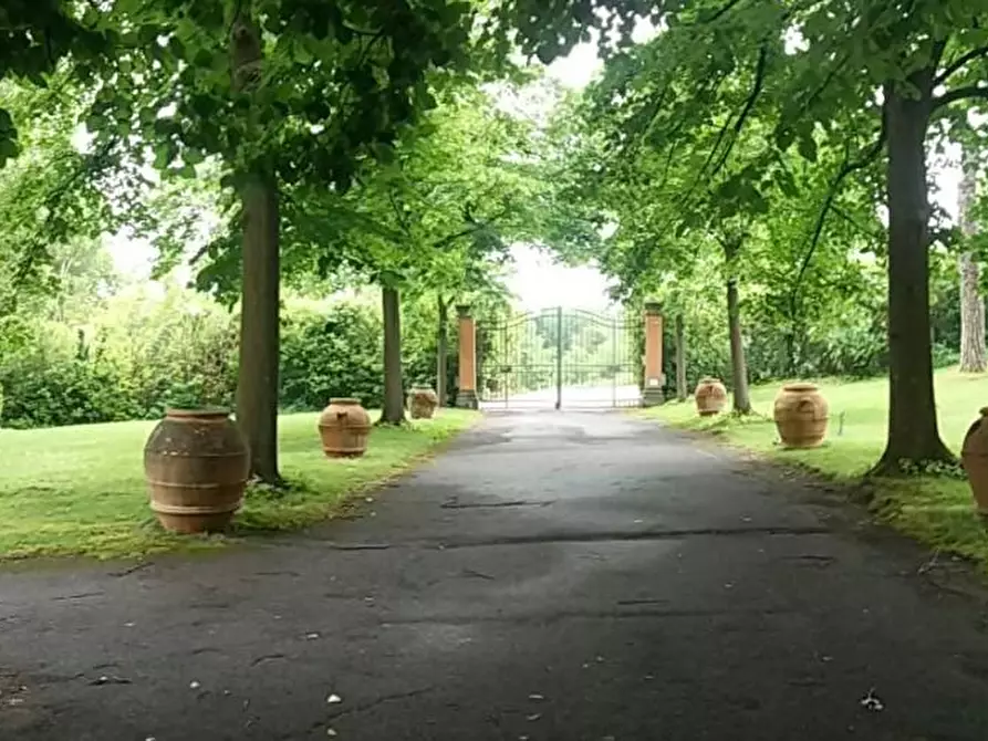 Immagine 4 di Villa in vendita  a Capannoli