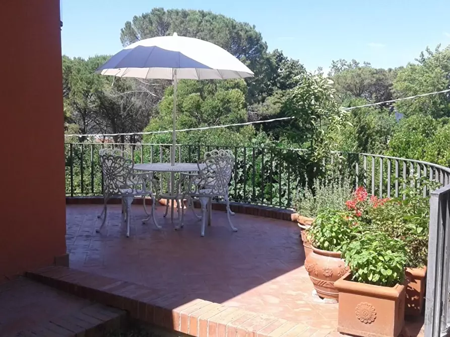 Immagine 18 di Villa in vendita  a Capannoli