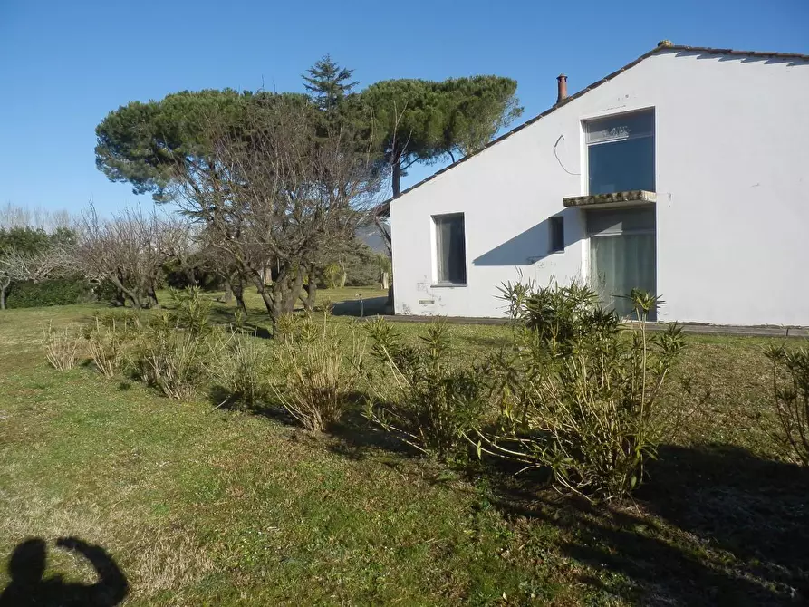 Immagine 3 di Villa in affitto  a San Giuliano Terme