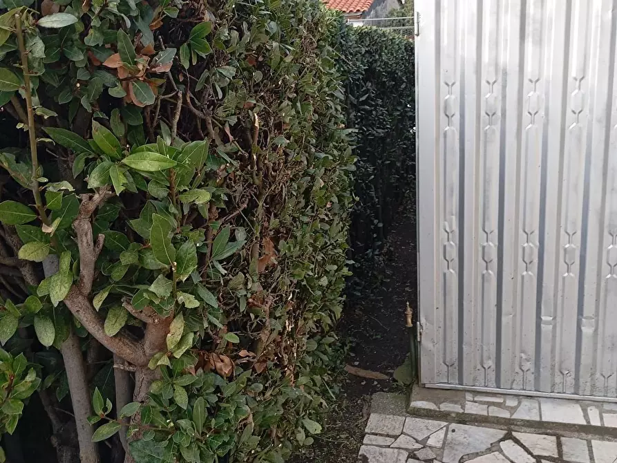 Immagine 10 di Villa in vendita  a Pisa