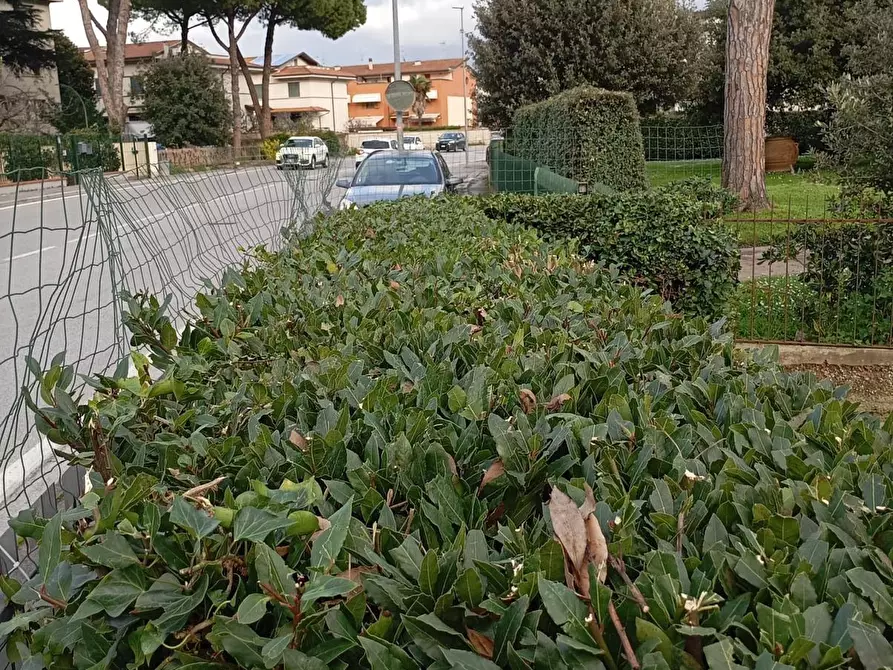 Immagine 18 di Villa in vendita  a Pisa