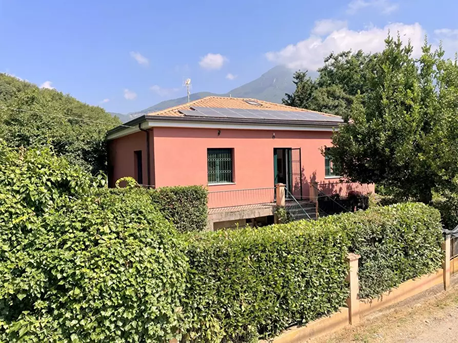 Immagine 31 di Casa indipendente in vendita  a Camaiore