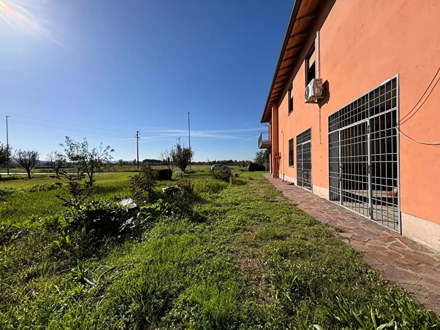 Immagine 35 di Casa bifamiliare in vendita  a Fucecchio