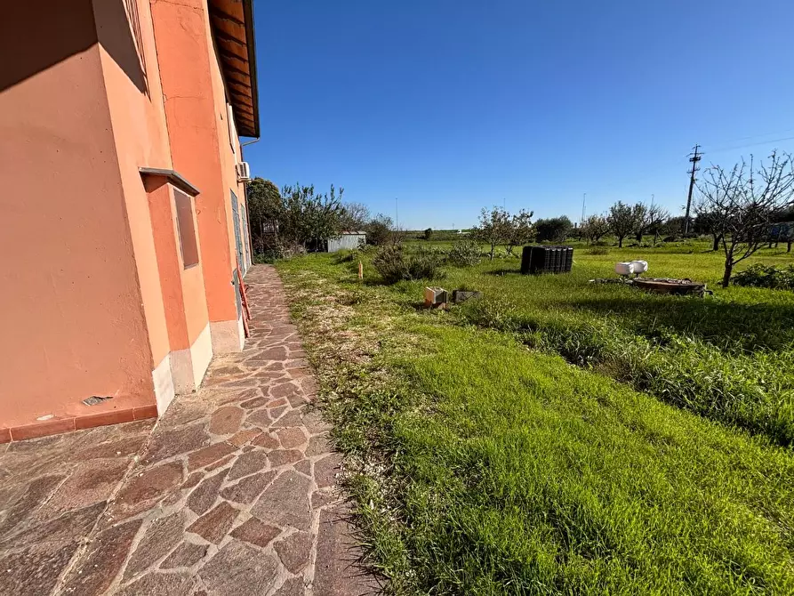 Immagine 32 di Casa bifamiliare in vendita  a Fucecchio