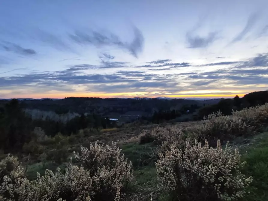 Immagine 15 di Villa in vendita  a San Miniato