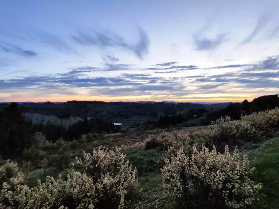 Immagine 9 di Villa in vendita  a San Miniato