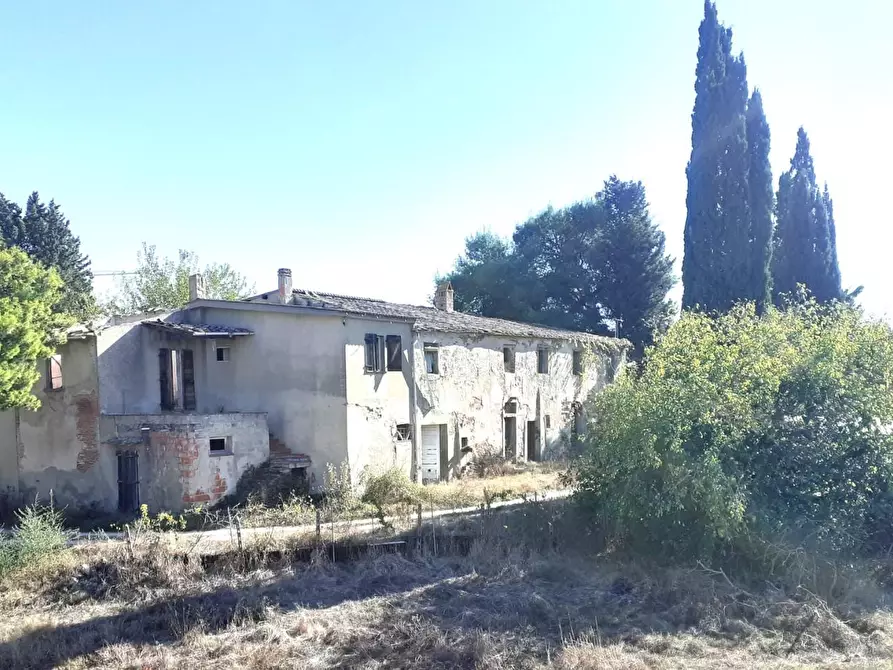 Immagine 2 di Villa in vendita  a San Miniato