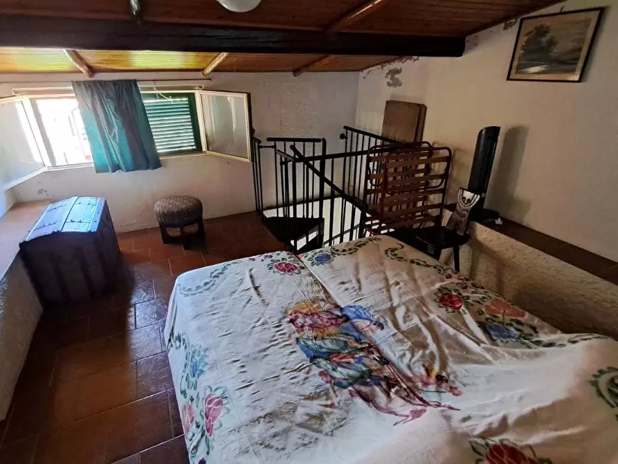 Immagine 16 di Appartamento in vendita  a Rosignano Marittimo