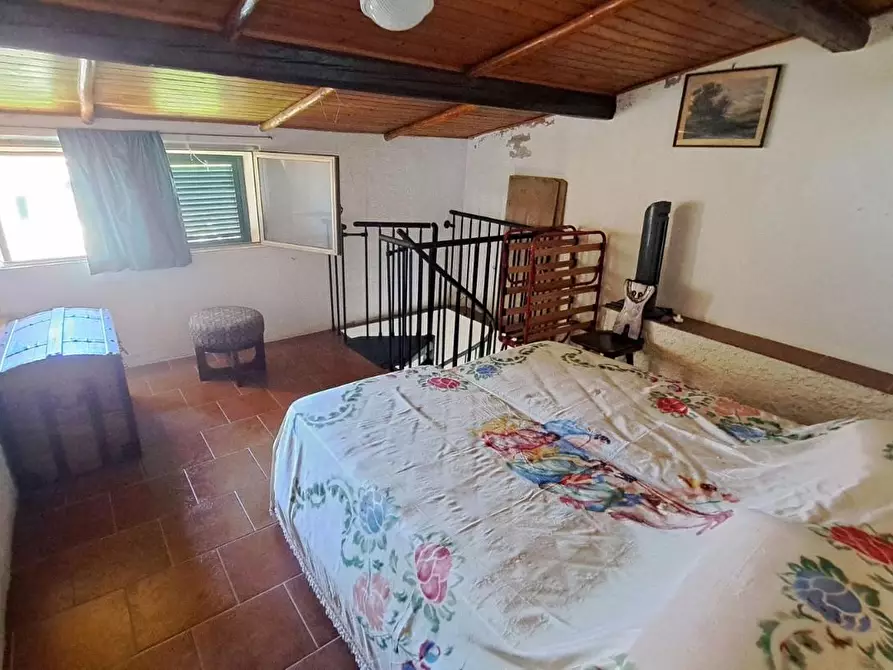 Immagine 14 di Appartamento in vendita  a Rosignano Marittimo