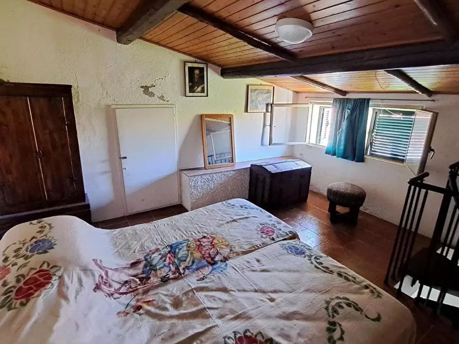 Immagine 15 di Appartamento in vendita  a Rosignano Marittimo