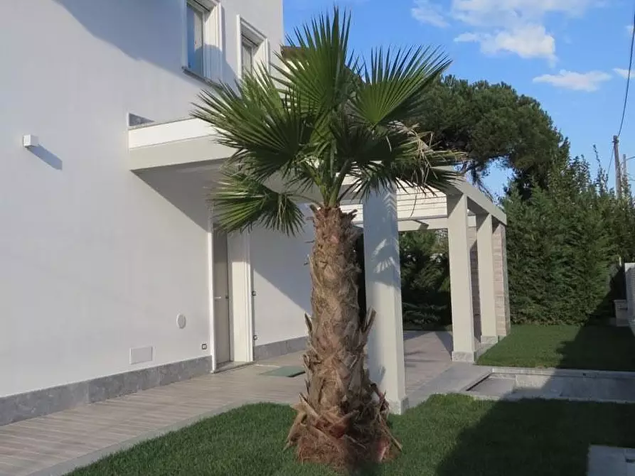 Immagine 3 di Villa in vendita  a Montignoso