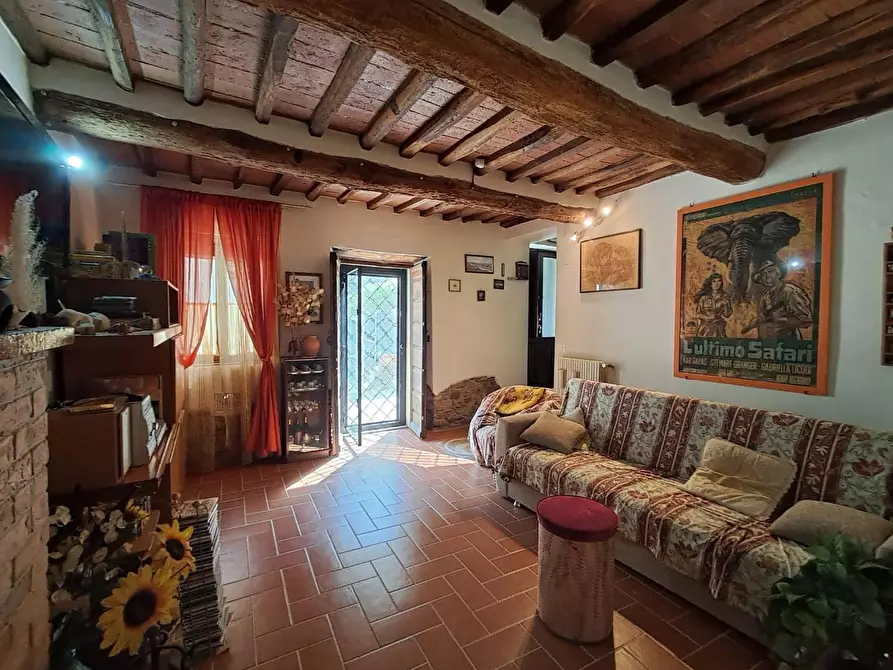 Immagine 2 di Terratetto in vendita  a Buti