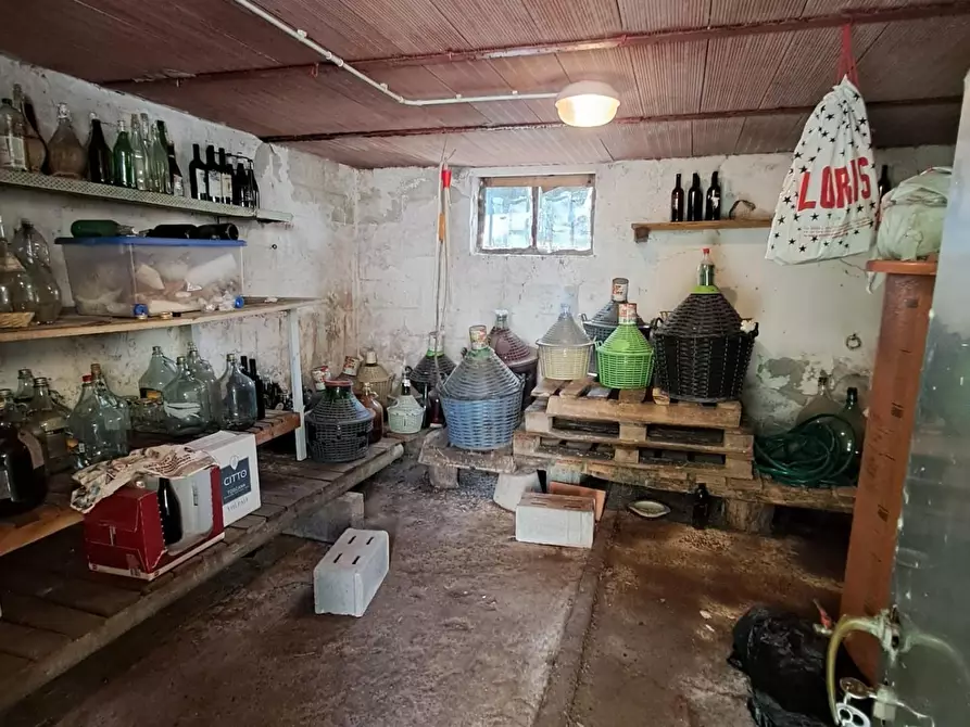 Immagine 25 di Terratetto in vendita  a Buti