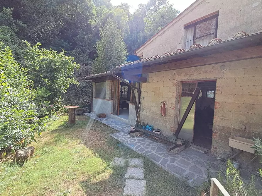 Immagine 21 di Terratetto in vendita  a Buti