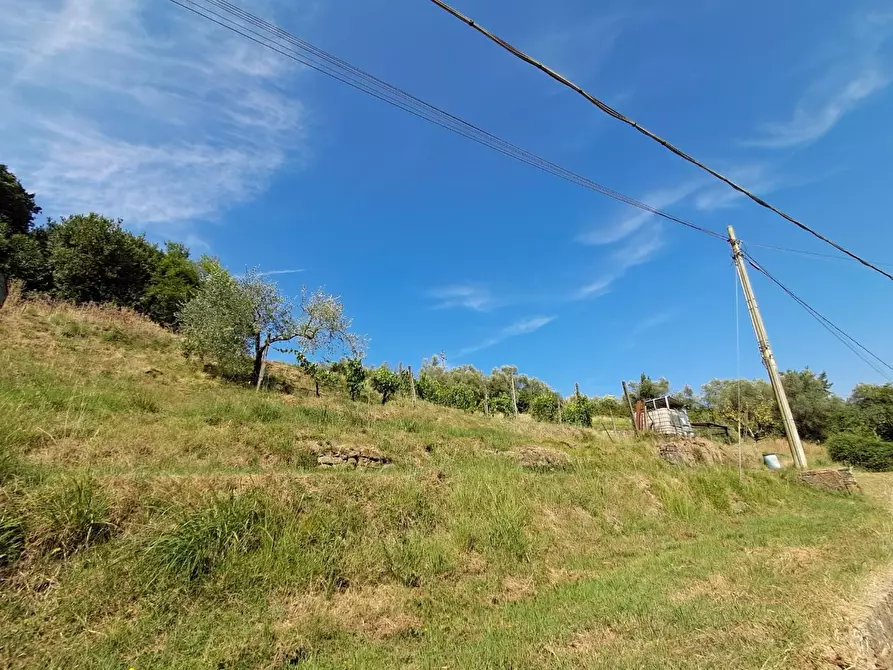 Immagine 29 di Terratetto in vendita  a Buti