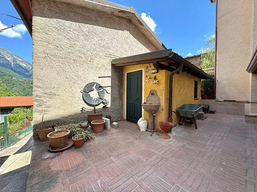 Immagine 9 di Terratetto in vendita  a Seravezza