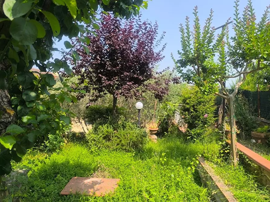 Immagine 15 di Appartamento in vendita  a Sinalunga