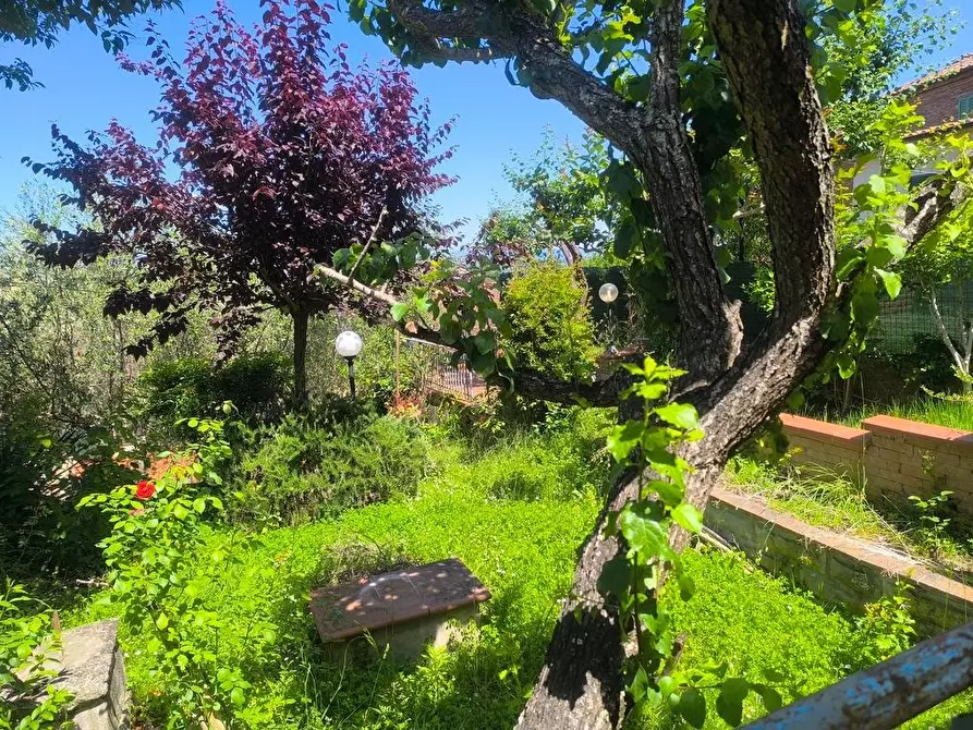Immagine 3 di Appartamento in vendita  a Sinalunga