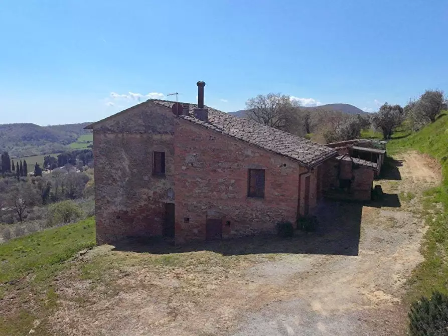 Immagine 28 di Casa colonica in vendita  a Montepulciano