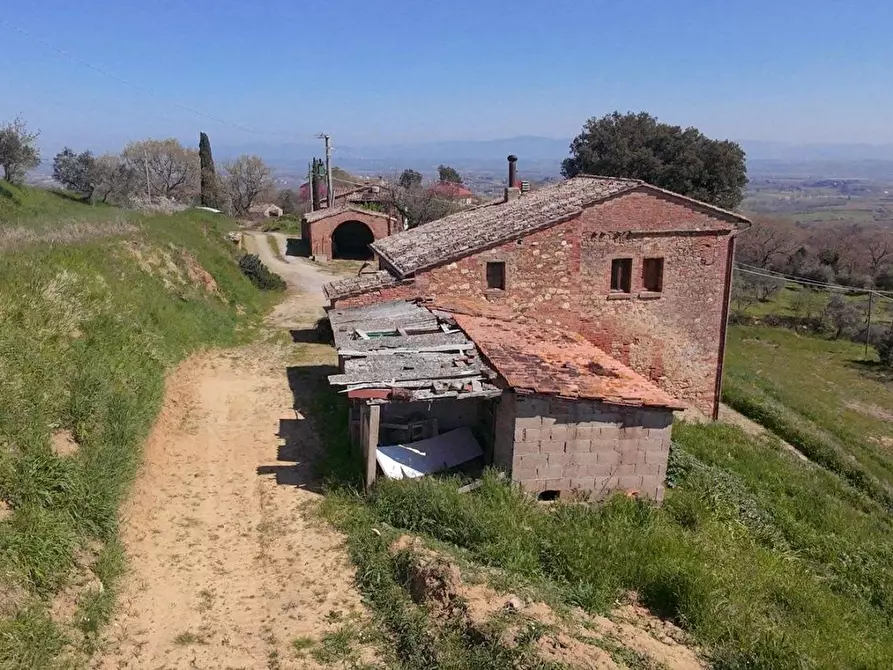 Immagine 14 di Casa colonica in vendita  a Montepulciano