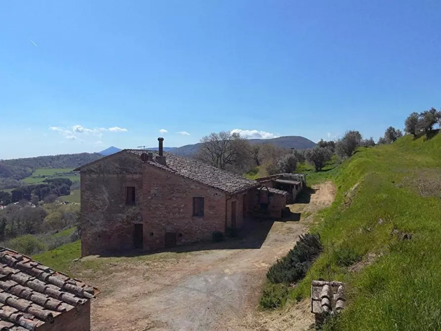 Immagine 7 di Casa colonica in vendita  a Montepulciano