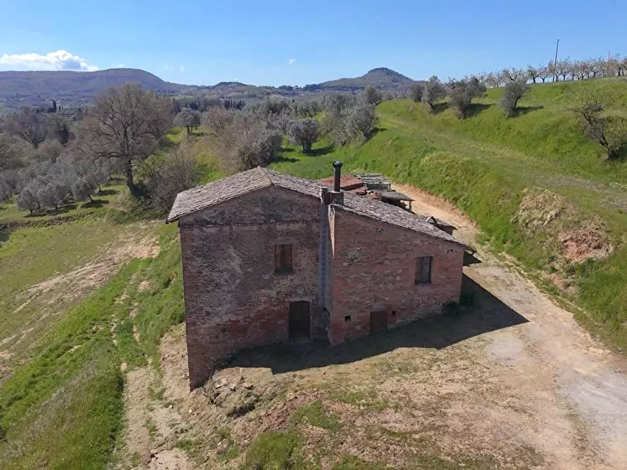 Immagine 10 di Casa colonica in vendita  a Montepulciano