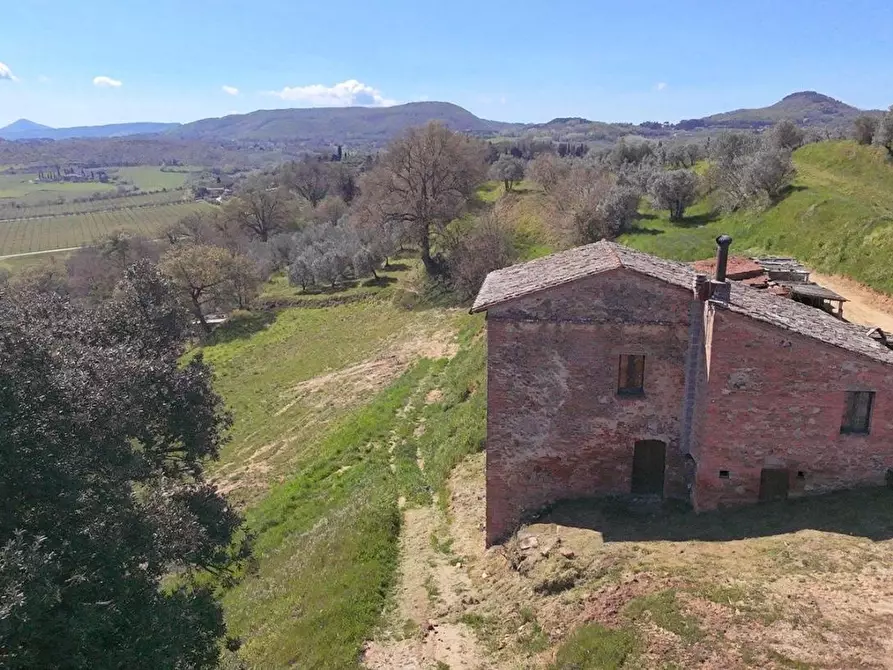 Immagine 1 di Casa colonica in vendita  a Montepulciano