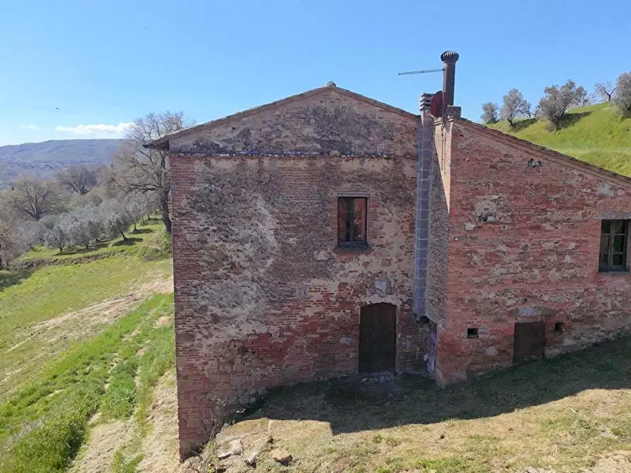 Immagine 16 di Casa colonica in vendita  a Montepulciano