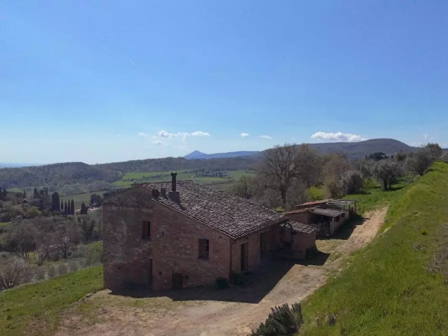 Immagine 15 di Casa colonica in vendita  a Montepulciano