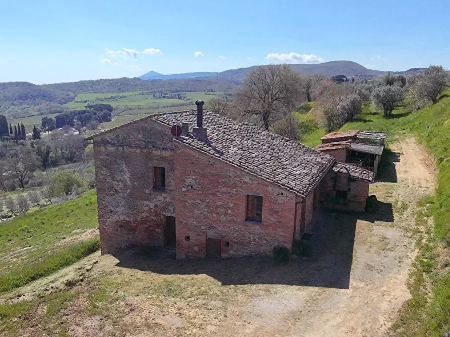 Immagine 8 di Casa colonica in vendita  a Montepulciano