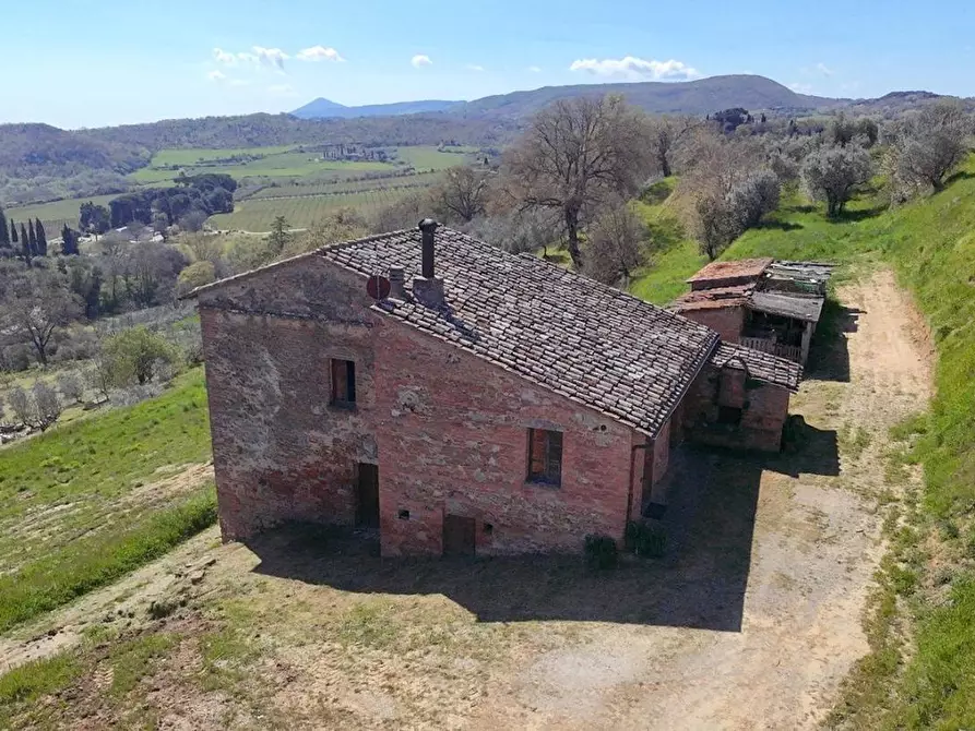 Immagine 23 di Casa colonica in vendita  a Montepulciano