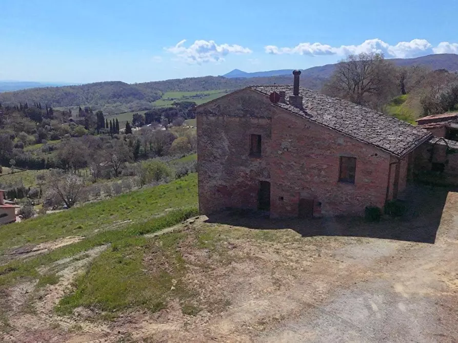 Immagine 12 di Casa colonica in vendita  a Montepulciano