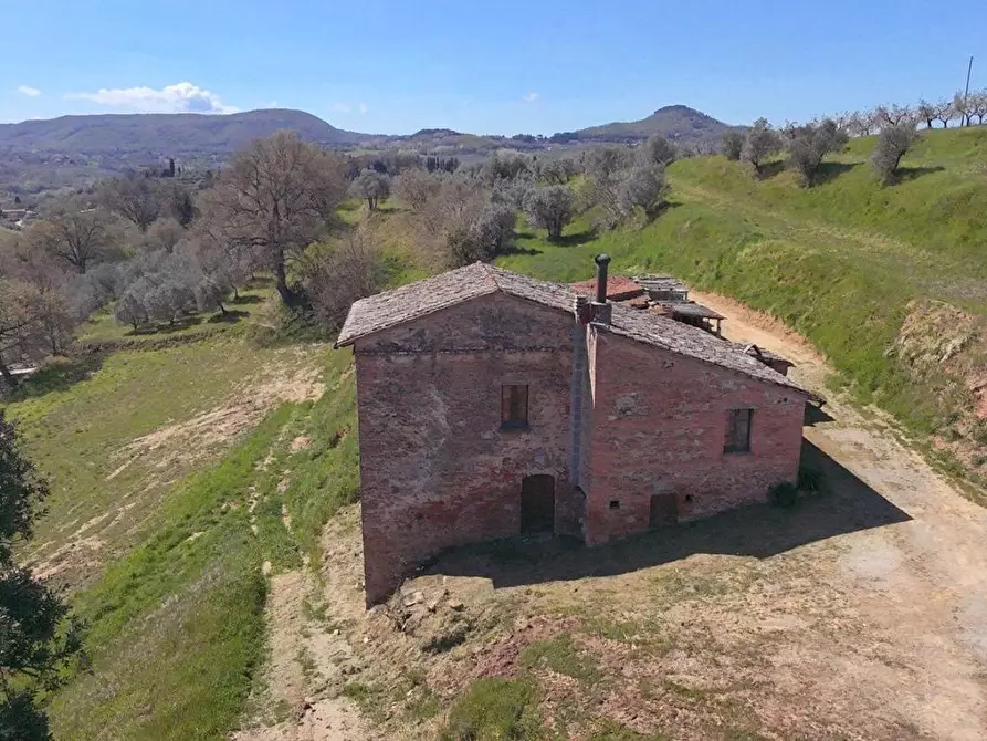 Immagine 11 di Casa colonica in vendita  a Montepulciano