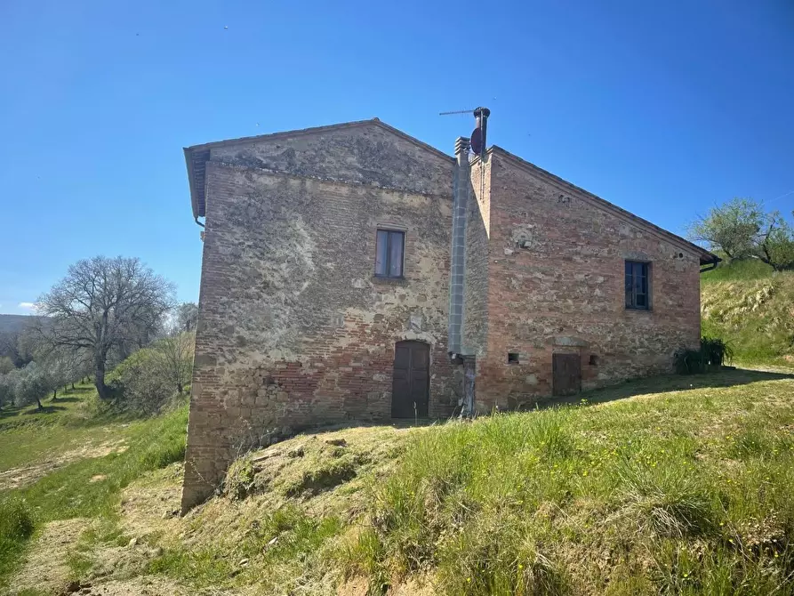 Immagine 6 di Casa colonica in vendita  a Montepulciano