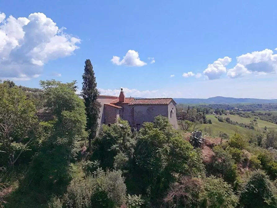 Immagine 12 di Casa colonica in vendita  a Asciano