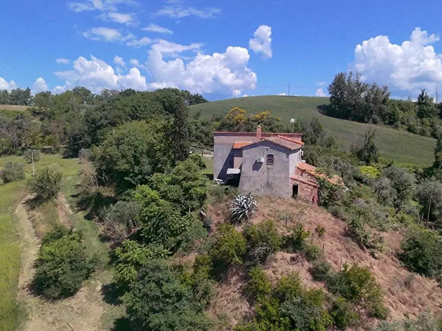 Immagine 4 di Casa colonica in vendita  a Asciano