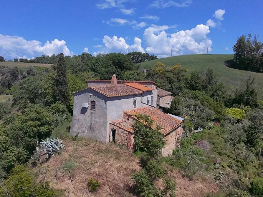Immagine 6 di Casa colonica in vendita  a Asciano