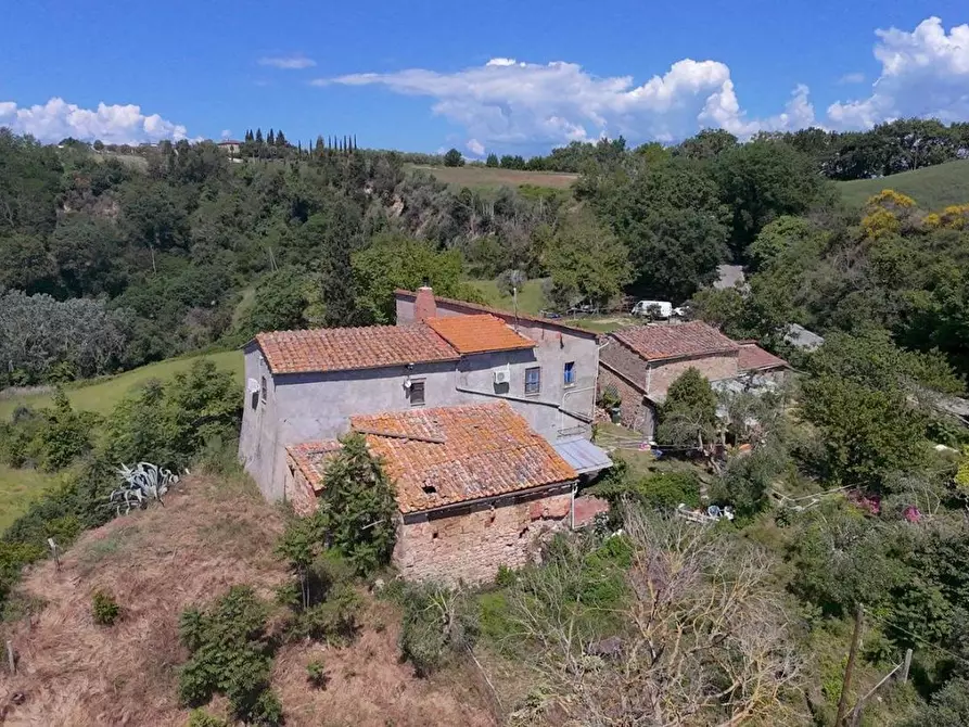 Immagine 8 di Casa colonica in vendita  a Asciano