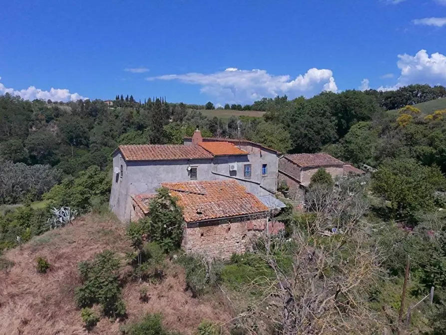 Immagine 7 di Casa colonica in vendita  a Asciano