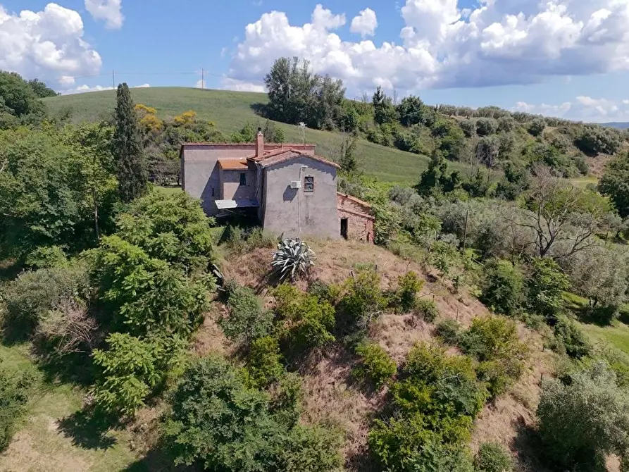 Immagine 3 di Casa colonica in vendita  a Asciano