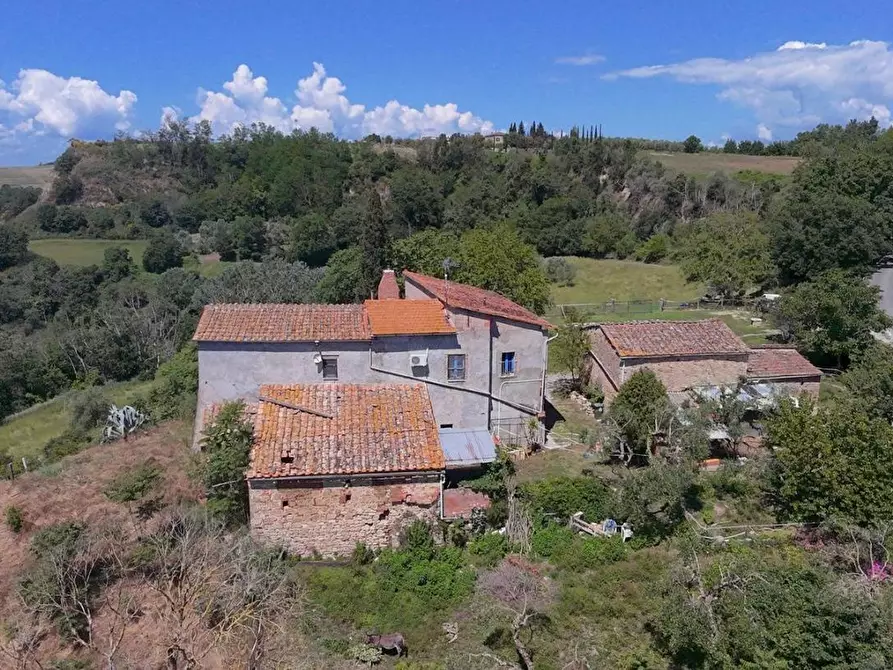 Immagine 9 di Casa colonica in vendita  a Asciano