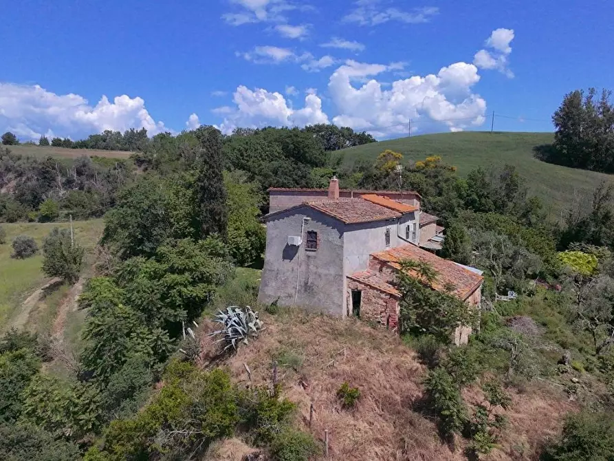 Immagine 5 di Casa colonica in vendita  a Asciano